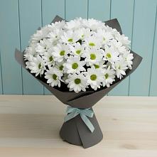 Букет цветов из:  Хризантемы в Дубне Московская область