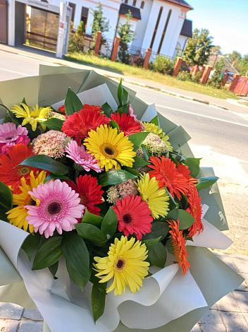 Букет цветов из: Герберы в Дубне Московская область